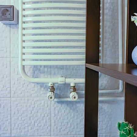 Center Downtown Daire