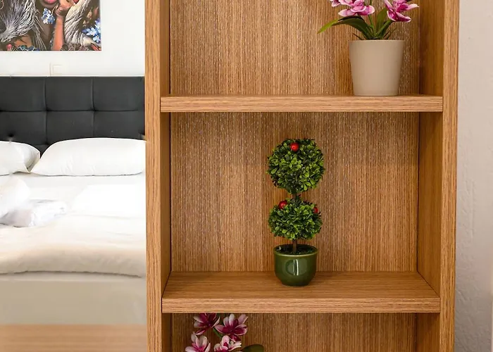 Center Downtown Apartman *
